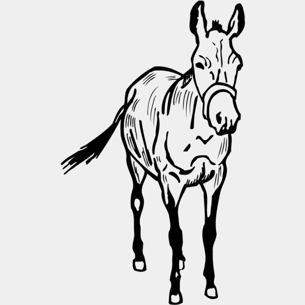 BURRO010 Thumbnail