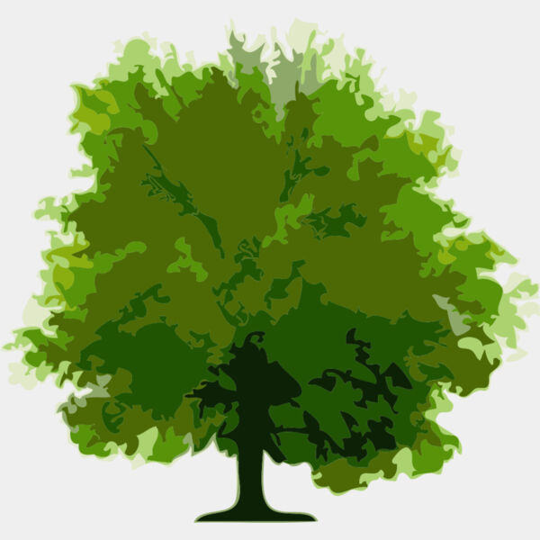 Tree 14 Thumbnail